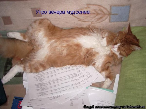Утро вечера мудренее