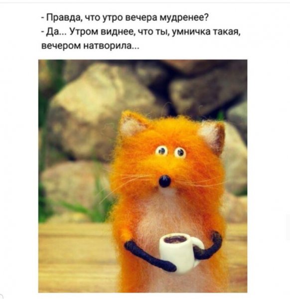Рисунок к пословице утро вечера мудренее
