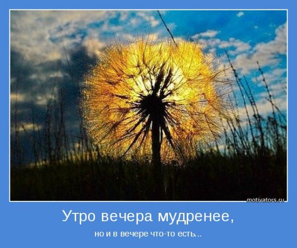 Утро вечера мудренее картинки