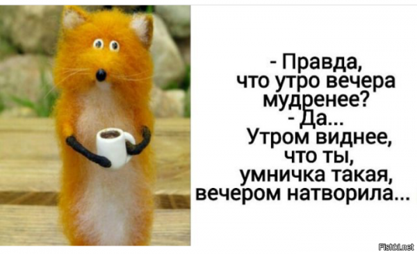 Утро вечера мудренее смешные картинки