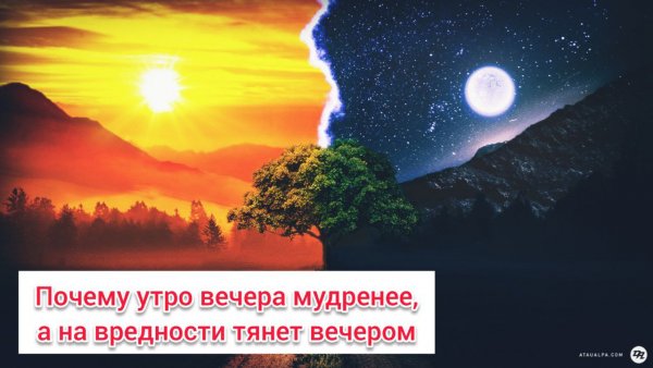 Пословицы и поговорки утро вечера мудренее