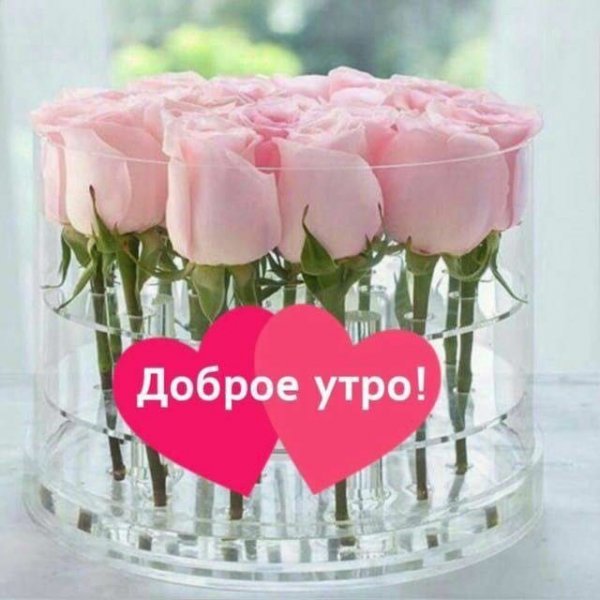 С добрым утром именинница открытки