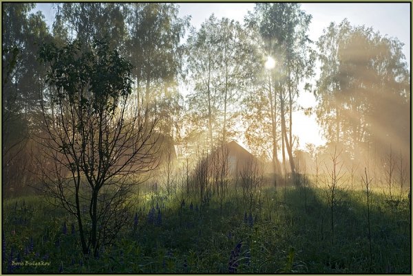 Прозрачное утро