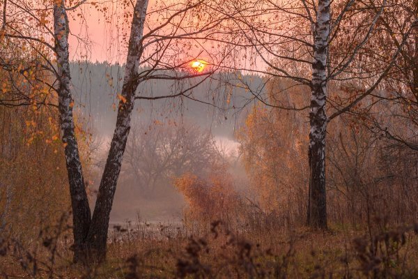 Осень прозрачное утро