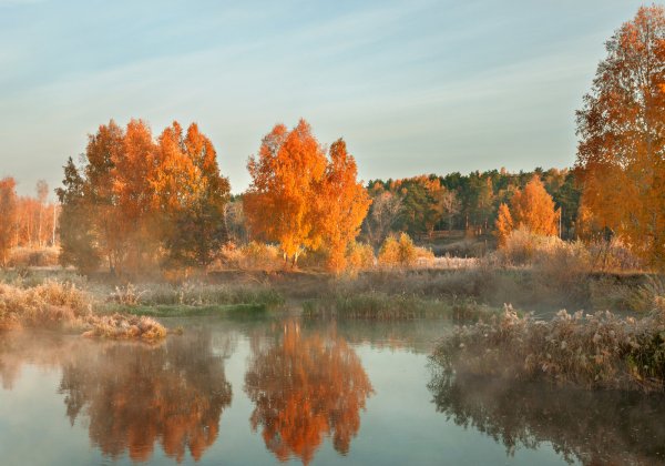 Осень прозрачное утро