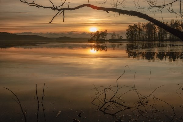 Утро прозрачность