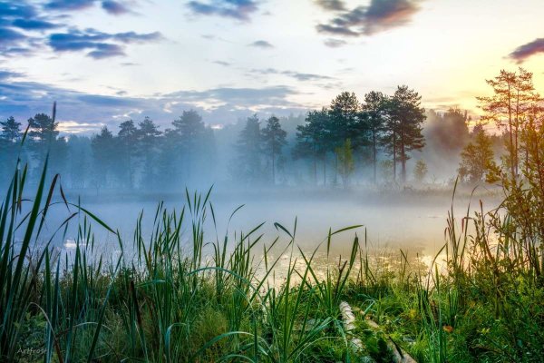 Доброе утро на прозрачном фоне