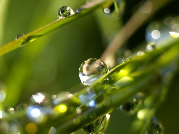 Макросъемка воды