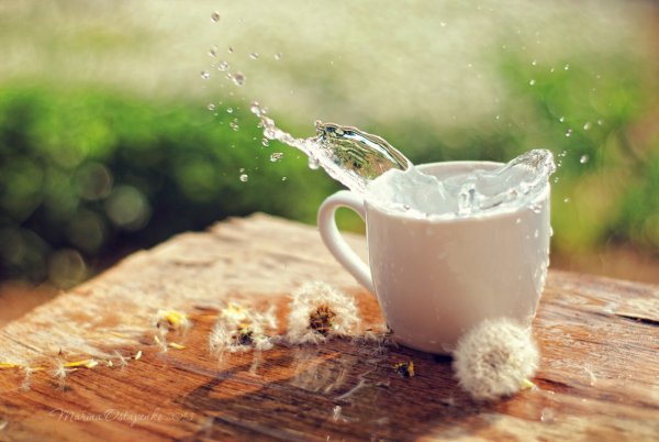 Чашка с водой