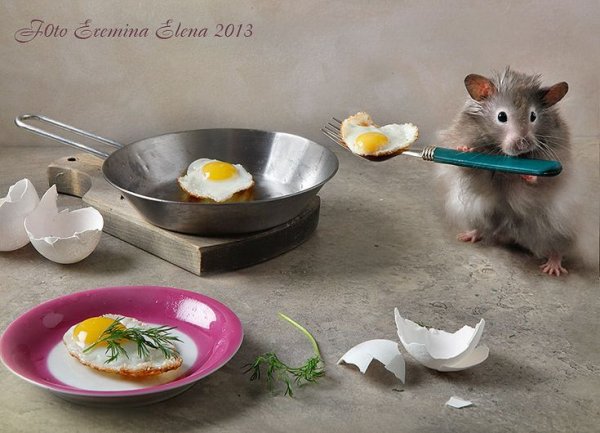 Мышка завтракает