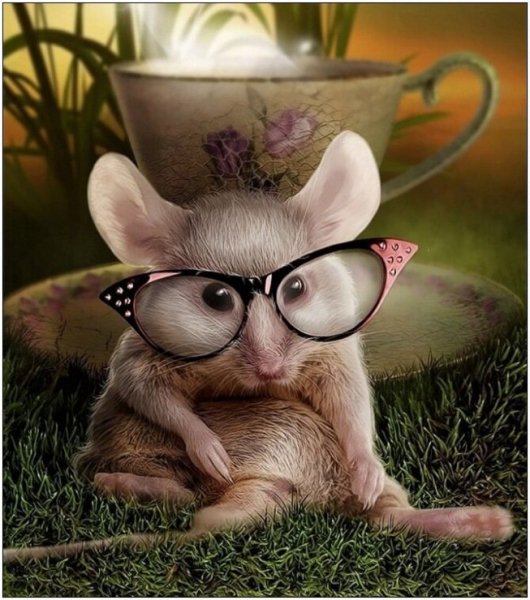 Мышь в очках