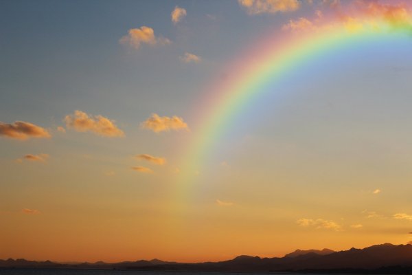 Картинка радуга утром (40 фото)
