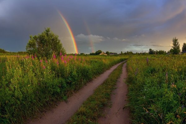 Природа после грозы