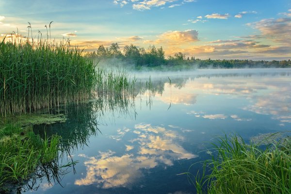Тюйное озеро Пермский