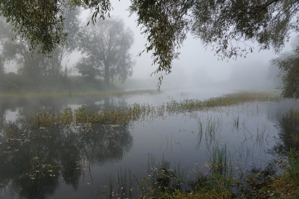 Озеро Леушинский туман ХМАО
