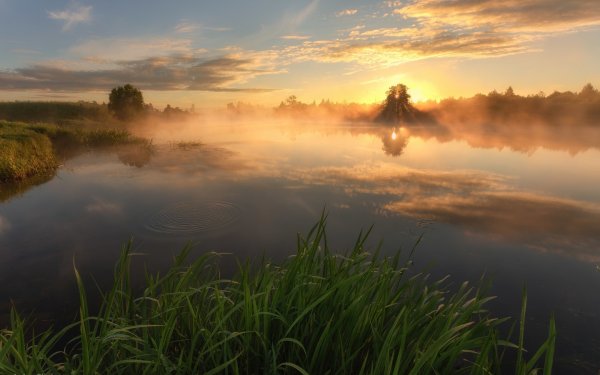 Природа рассвет
