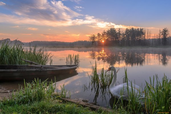 Пейзажи Беларуси Ивьевский