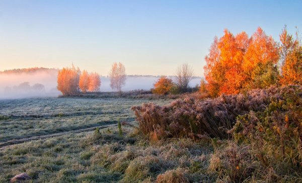 Барнаул Андрей Хайман фотографы пейзажисты