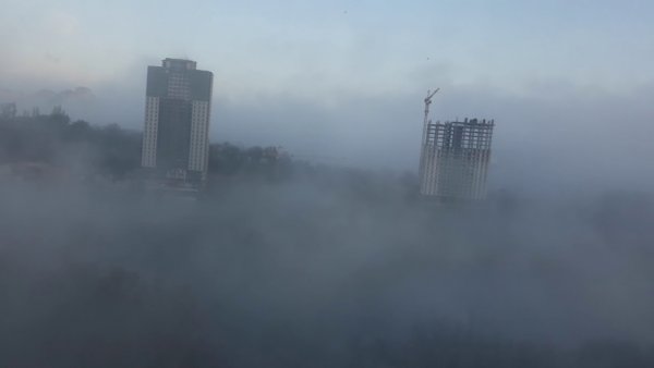 Растрепанная Сова