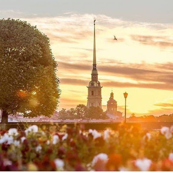 Утро в Петербурге