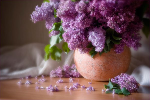 Сиреневое утро