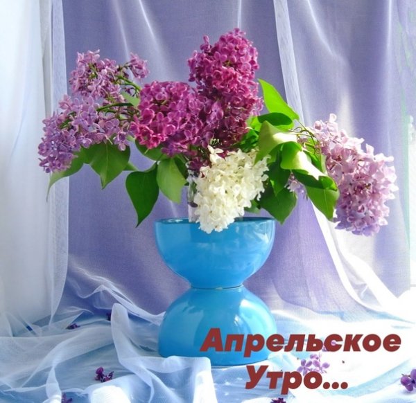 Весна сирень