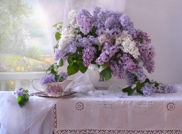 Букет сирени