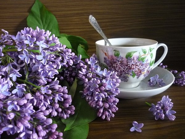 Доброе утро сирень
