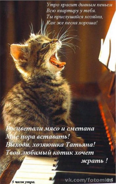 Доброе утро крашу