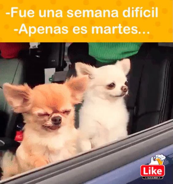 А меня не красит утро я красивая попозже