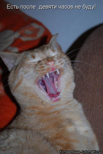 Утро красит нежным светом