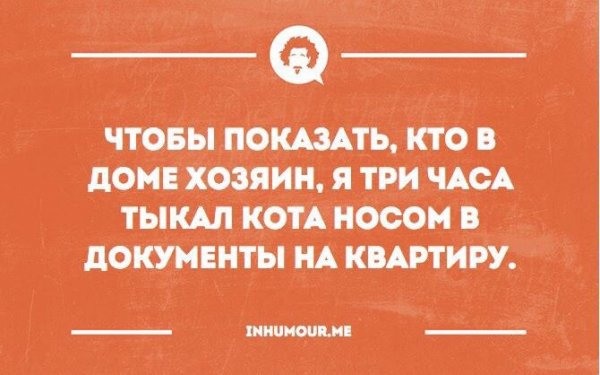 Утро красит нежным светом лица заспанных
