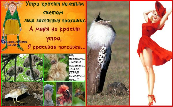 Утро красит лица заспанных прохожих