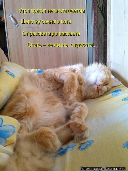 Утро красит нежным светом