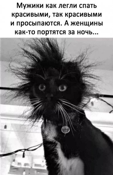 Каждое утро в голове один вопрос