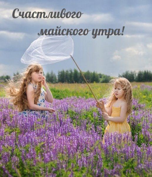 Радостного майского утра