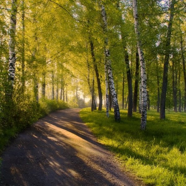 С майским утром природа