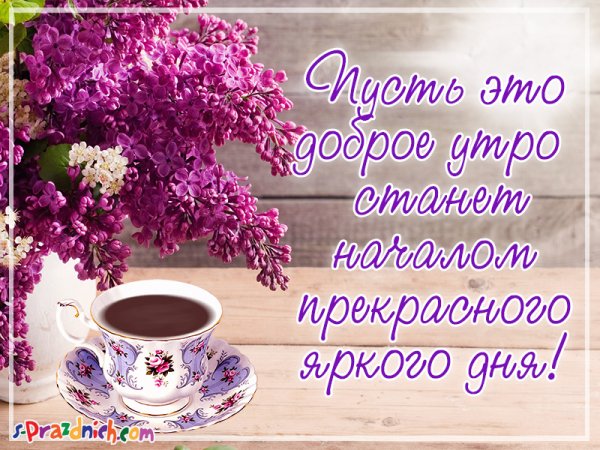 С добрым утром сирень