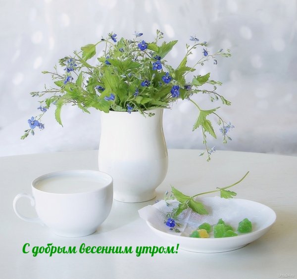 Доброе Весеннее утро