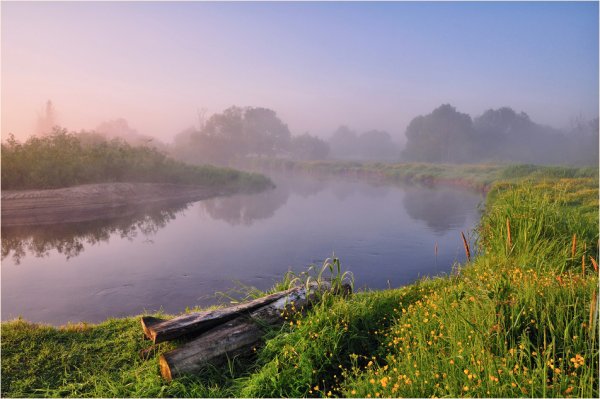 Утренняя река