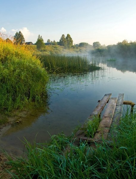 Река Пурновка