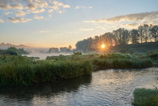 Туман речка Кострома