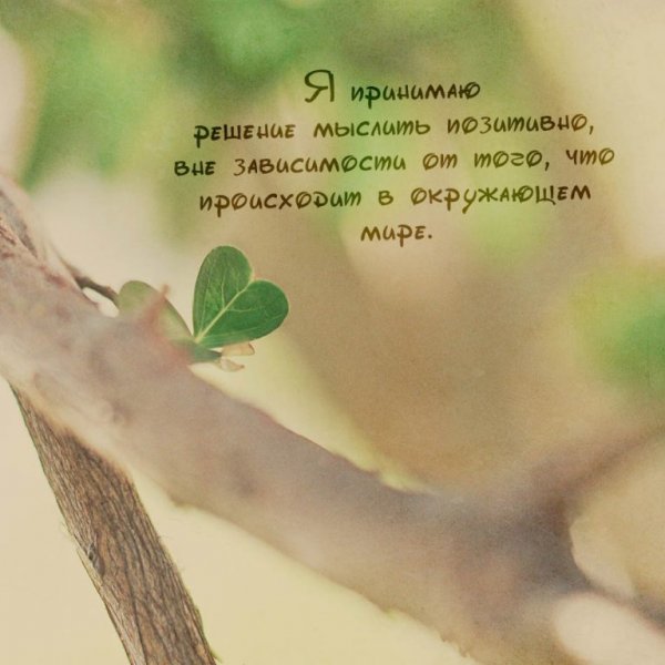 Аффирмация дня