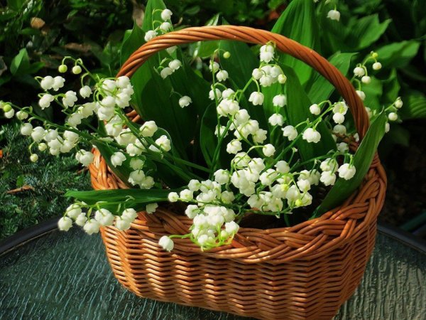 Весенние корзины с ландышами