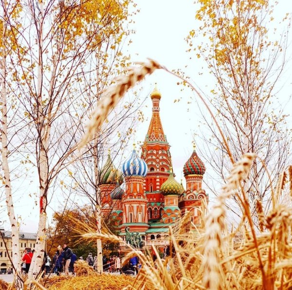 Москва 2019 осень