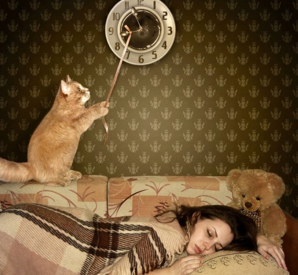 Кот будильник