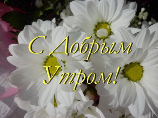 Картинки с добрым утром мама