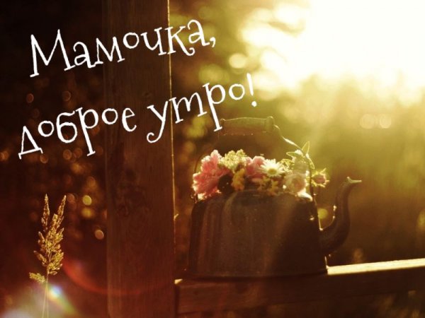 Доброе утро мамуля