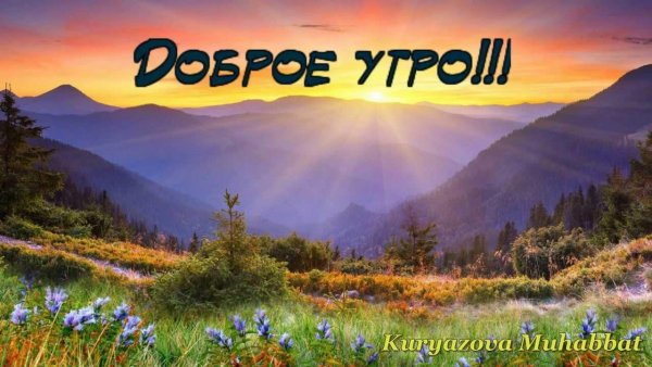 Пожелания с добрым утром на фоне природы