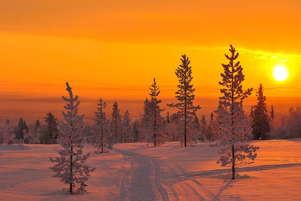 Зимние пейзажи севера